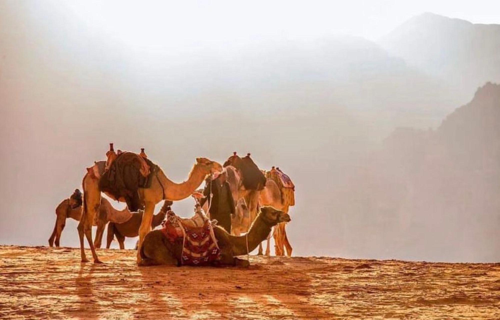 Julia Rum Luxury Camp Wadi Rum Exteriér fotografie